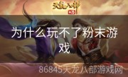 为什么玩不了粉末游戏