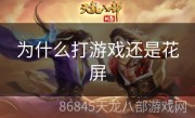为什么打游戏还是花屏
