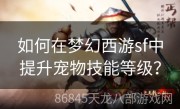 如何在梦幻西游sf中提升宠物技能等级？