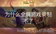 为什么全屏游戏录制不了